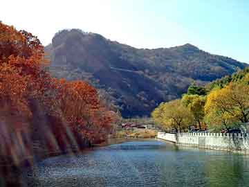 澳门二四六天天彩图库，佛山到山东物流